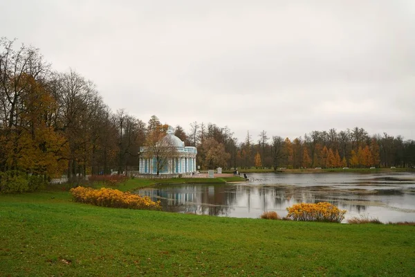 Dyster November Morgen Spasertur Katarina Parken Tsarskoe Selo Bolsjoj Dammen – stockfoto