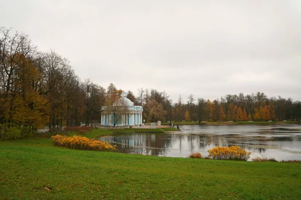 Sombres Matinées Novembre Promenade Dans Parc Catherine Tsarskoe Selo Étang — Photo