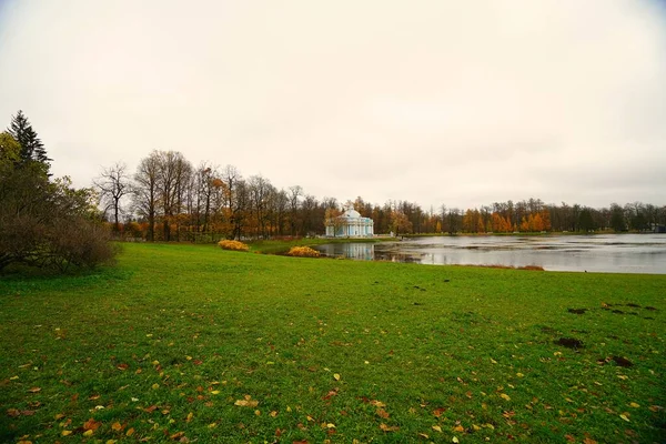 Gloomy November Morgon Och Promenad Catherine Park Tsarskoe Selo Bolshoy — Stockfoto