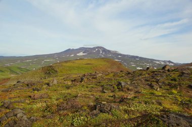 Mavi gökyüzüne karşı bir taş sincabı ve Kamçatka 'da güneşli yaz sabahı, dağ manzarası