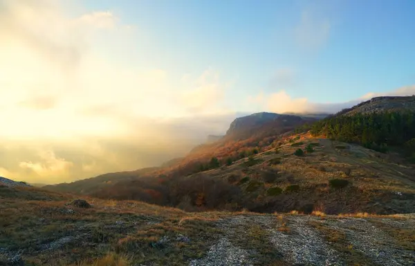 Noche Cálida Noviembre Una Caminata Fascinante Hermosos Lugares Naturales — Foto de Stock