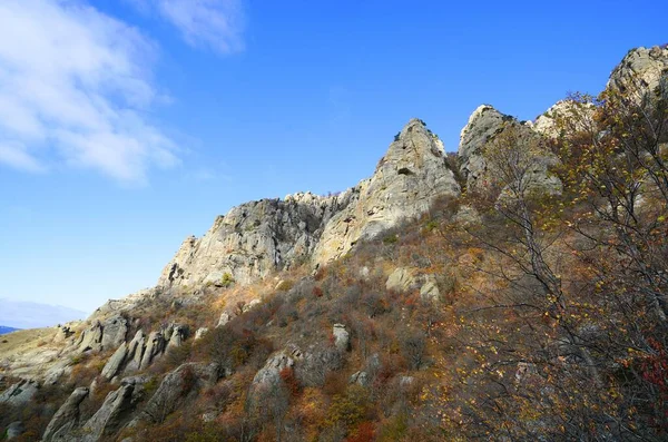 Een Warme November Ochtend Een Fascinerende Wandeling Prachtige Plaatsen Van — Stockfoto