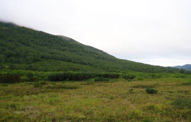 Dağ manzarası, Kamçatka 'da büyüleyici bir yürüyüş, volkanlar diyarında Semenovsky kordonuna yolculuk.