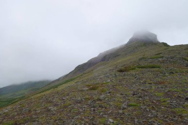 Volkanların ve ayıların kampı Pinachevsky 'de, Kamçatka' da büyüleyici bir yaz yürüyüşü.