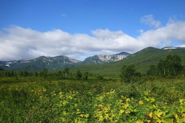 Volkanların ve ayıların kampında, Kamçatka 'da büyüleyici bir yaz yürüyüşü.