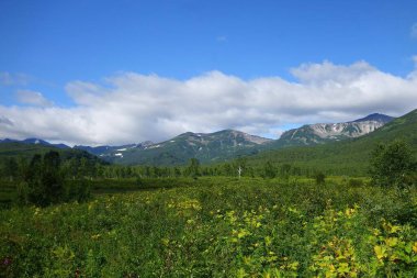 Volkanların ve ayıların kampında, Kamçatka 'da büyüleyici bir yaz yürüyüşü.