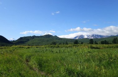 Kamçatka 'da, volkanların ve ayıların, Koryaksky ve Avachinsky volkanlarının kampında büyüleyici bir yaz yürüyüşü.