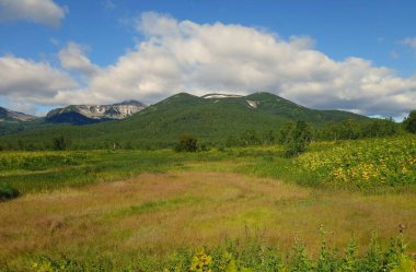 Kamçatka 'da, volkanların ve ayıların, Koryaksky ve Avachinsky volkanlarının kampında büyüleyici bir yaz yürüyüşü.
