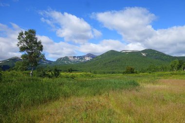 Kamçatka 'da, volkanların ve ayıların, Koryaksky ve Avachinsky volkanlarının kampında büyüleyici bir yaz yürüyüşü.