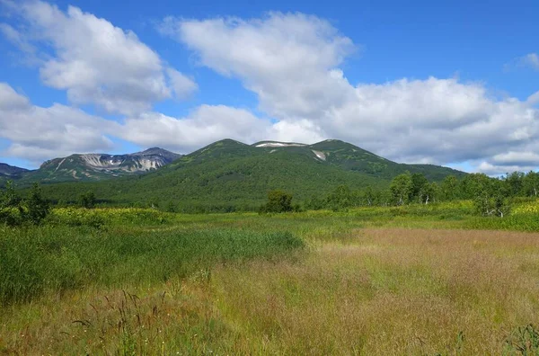 Kamçatka 'da, volkanların ve ayıların, Koryaksky ve Avachinsky volkanlarının kampında büyüleyici bir yaz yürüyüşü.