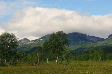Dağ manzarası, Kamçatka 'da büyüleyici bir yürüyüş, volkanlar diyarı, merkezi kordon.