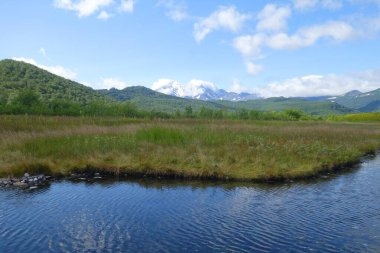 Kamçatka 'da büyüleyici bir yaz yürüyüşü, volkanlar ve ayıların kampı, merkezi kordon ve sıcak nehir.