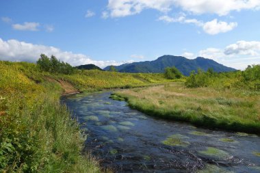 Kamçatka 'da büyüleyici bir yaz yürüyüşü, volkanlar ve ayıların kampı, merkezi kordon ve sıcak nehir.
