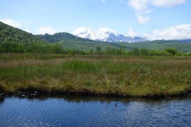Kamçatka 'da büyüleyici bir yaz yürüyüşü, volkanlar ve ayıların kampı, merkezi kordon ve sıcak nehir.