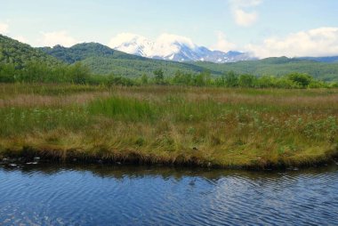 Kamçatka 'da büyüleyici bir yaz yürüyüşü, volkanlar ve ayıların kampı, merkezi kordon ve sıcak nehir.