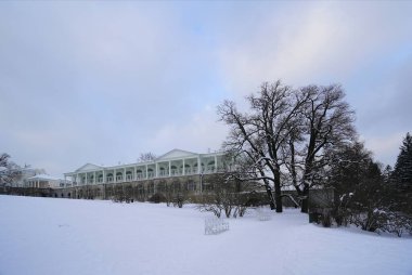 Soğuk bir kış gününde Tsarskoye Selo, Cameron Galerisi 'nde Catherine Park' ta yürümek.