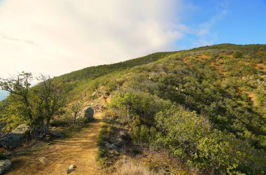 Sakin Kasım sabahları ve güzel doğal yerlerde büyüleyici bir yürüyüş.