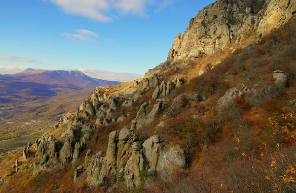 Rustige Novemberochtenden Een Fascinerende Wandeling Prachtige Natuurgebieden — Stockfoto