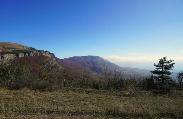 Quente Noite Outono Bela Natureza Uma Caminhada Fascinante Montanha — Fotografia de Stock