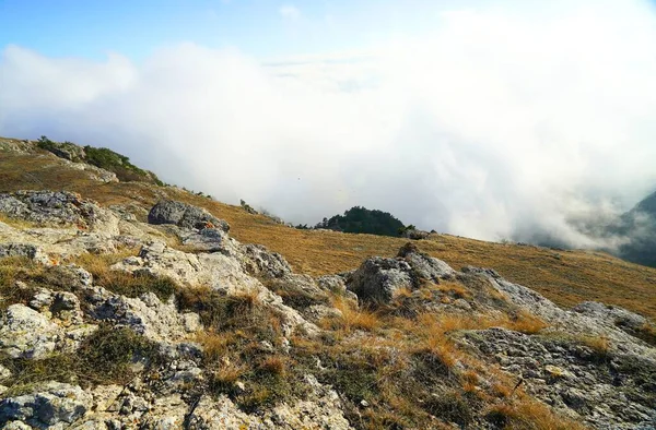 Prachtige Natuur Warme Herfstavond Een Fascinerende Bergwandeling — Stockfoto