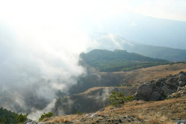 Belle Nature Soirée Automne Chaude Une Promenade Fascinante Montagne — Photo