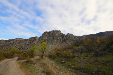 Büyüleyici dağ yürüyüşü ve sonbahar güneşli sabahı