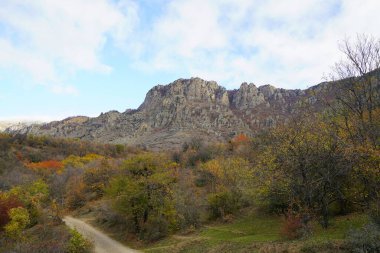 Büyüleyici dağ yürüyüşü ve sonbahar güneşli sabahı