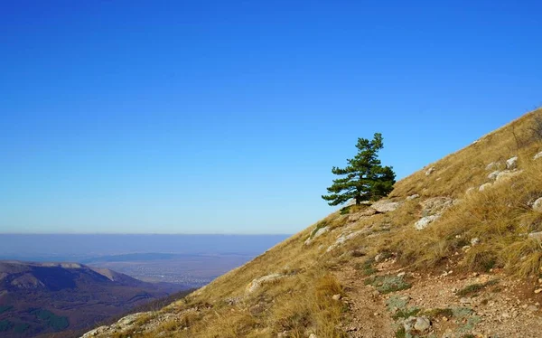 Quente Noite Outono Bela Natureza Uma Caminhada Fascinante Montanha — Fotografia de Stock