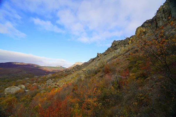 魅力的な山の散歩と秋の晴れた朝 — ストック写真