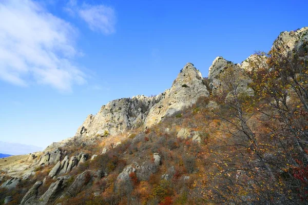 Herfst Zonnige Ochtend Fascinerende Bergwandeling — Stockfoto
