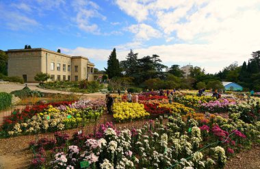Sıcak bir sonbahar sabahı ve botanik bahçesinde bir çiçek fuarı