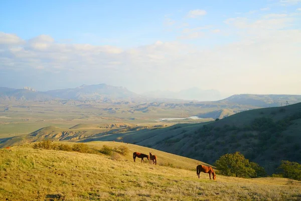 Mañana Soleada Otoño Pintoresco Paisaje Montaña Junto Mar — Foto de Stock