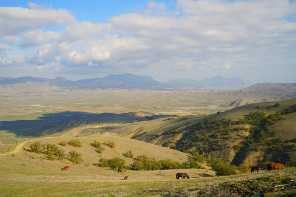 Manhã Outono Ensolarada Pitoresca Paisagem Montanhosa Beira Mar — Fotografia de Stock