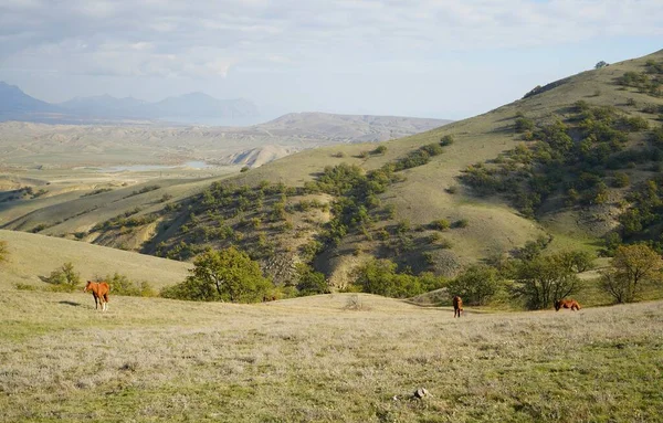 Mañana Soleada Otoño Pintoresco Paisaje Montaña Junto Mar — Foto de Stock