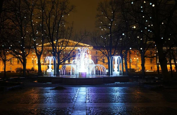 Πρωτοχρονιά Και Χριστούγεννα Ηλεκτρικά Διακοσμήσεις Πόλης Winter Palace Garden — Φωτογραφία Αρχείου