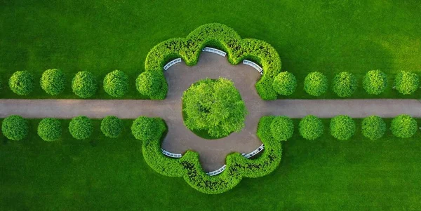 Catherine Park 'ta akşam yürüyüşü ve kuş bakışı bir manzara.