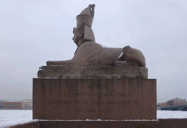 Februari Wandeling Langs University Embankment Egyptische Sfinx — Stockfoto