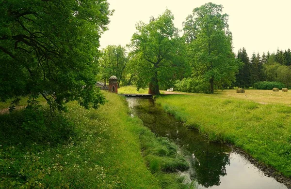 Morgonpromenad Catherine Park Tsarskoe Selo — Stockfoto