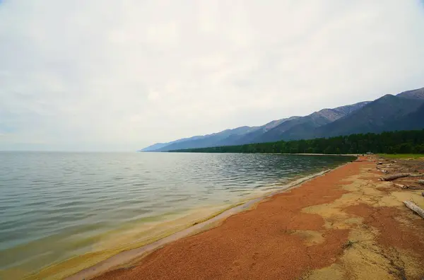 Musim Panas Pagi Yang Tenang Pantai Danau Baikal — Stok Foto