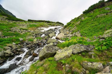 Yaz yürüyüşü ve Barguzin Vadisi 'ndeki muhteşem manzara.