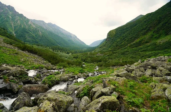 Sommerwanderung Und Traumhafte Landschaft Barguzin Tal — Stockfoto