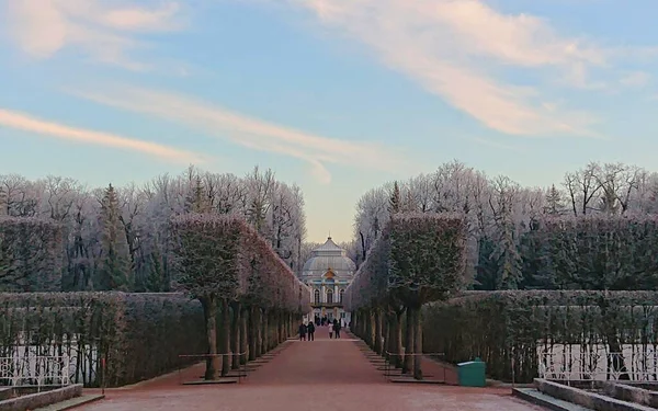 Vinterpromenad Pittoreska Parkerna Tsarskoe Selo — Stockfoto