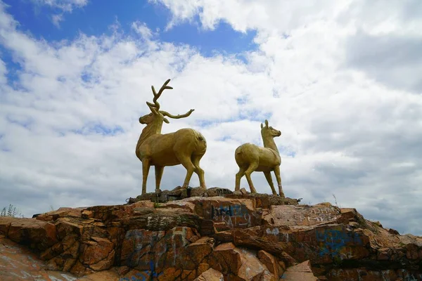 Sommar Vandring Vackraste Naturområdena Buryatia Deer Statyer Vid Bron Över — Stockfoto