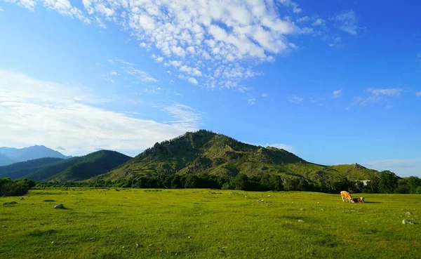 Giornata Estiva Soleggiata Bellissimo Paesaggio Nella Valle Barguzin — Foto Stock