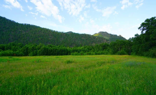 Giornata Estiva Soleggiata Bellissimo Paesaggio Nella Valle Barguzin — Foto Stock