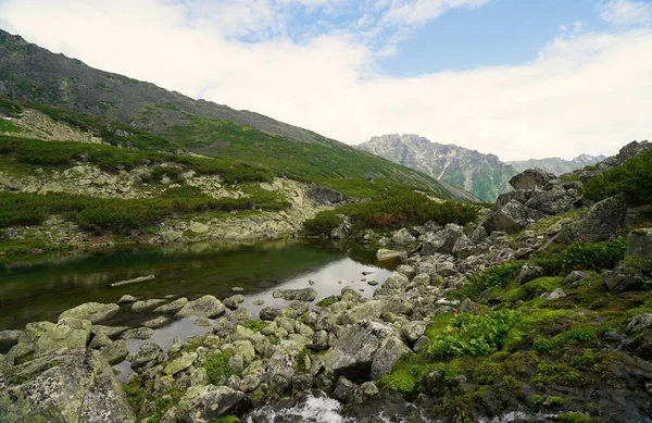 在布里亚蒂亚最美丽的自然景观中进行夏季远足 停留在高山湖畔 — 图库照片
