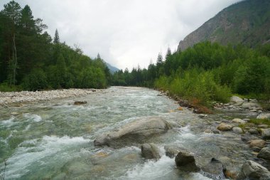 Kasvetli yaz sabahı ve dağ nehrinin hızlı akışı Alla