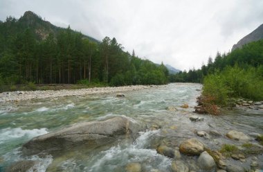 Kasvetli yaz sabahı ve dağ nehrinin hızlı akışı Alla