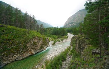 Kasvetli yaz sabahı ve dağ nehrinin hızlı akışı Alla