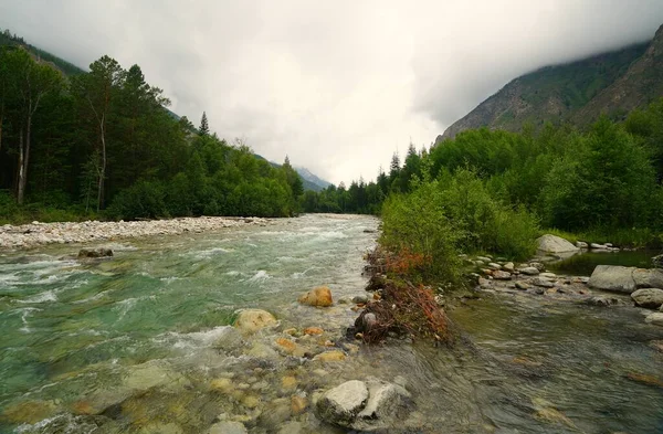 Καλοκαίρι Ζοφερό Πρωί Και Γρήγορη Ροή Του Ποταμού Alla Βουνό — Φωτογραφία Αρχείου